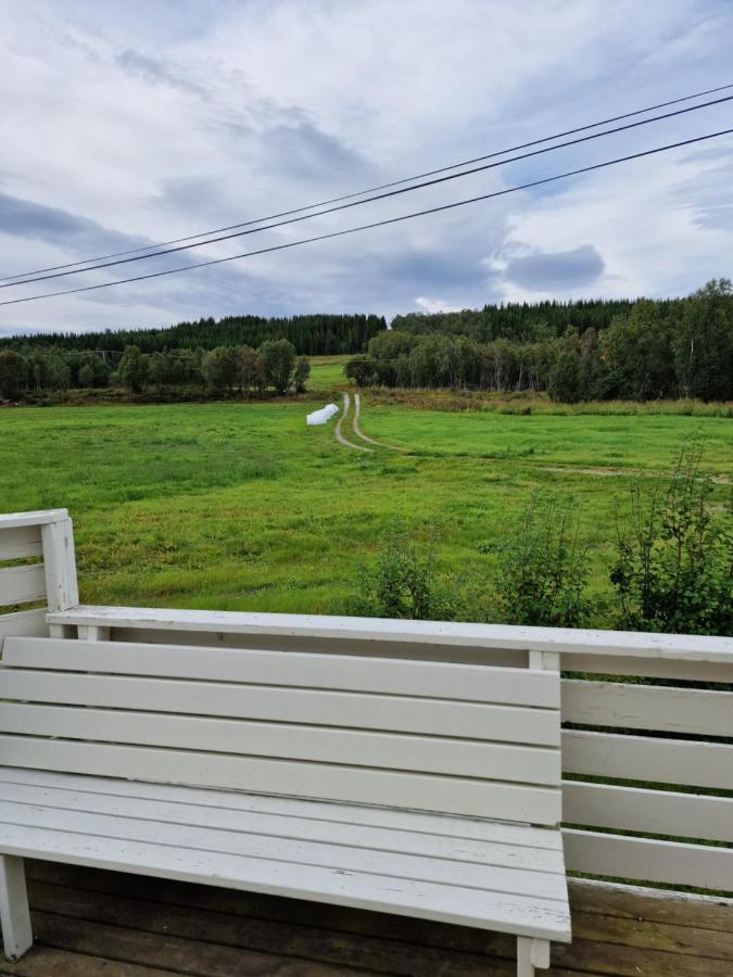 Warm And Cozy Cottage, Great Location Kvaloya Exterior foto