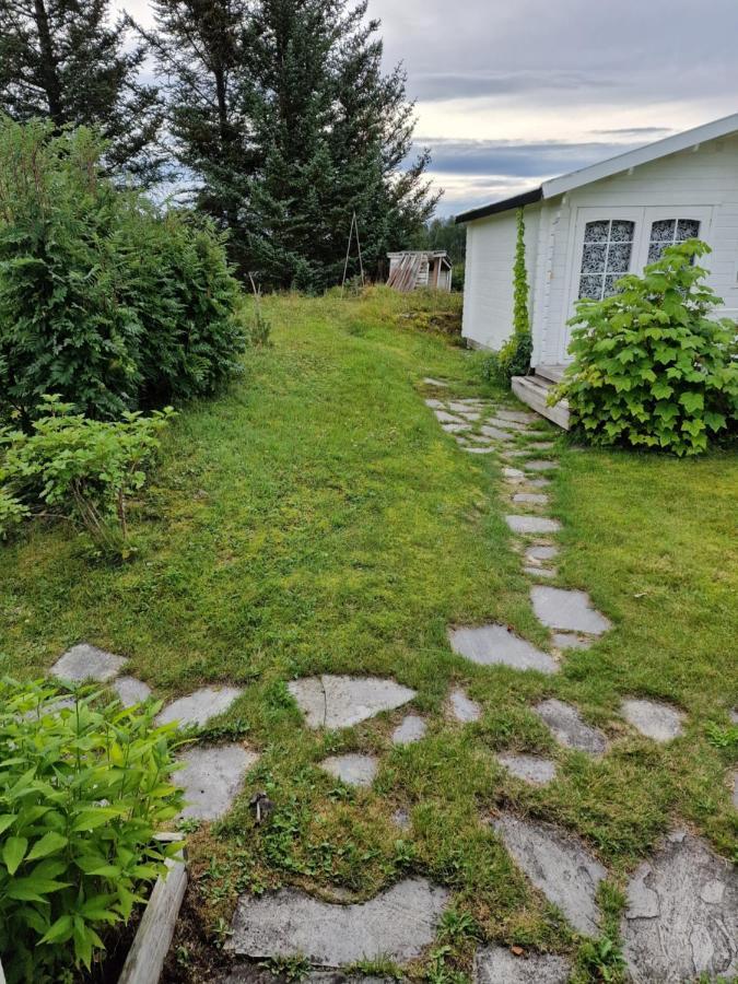 Warm And Cozy Cottage, Great Location Kvaloya Exterior foto
