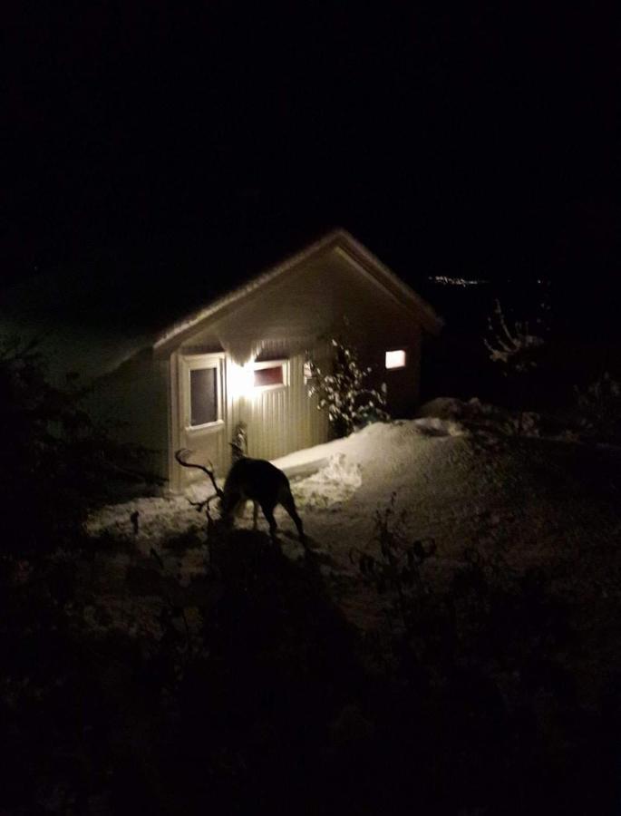 Warm And Cozy Cottage, Great Location Kvaloya Exterior foto